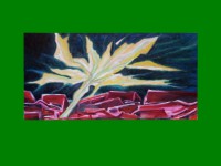 /album/fotogaleria/blesk-jpg1/